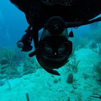 Photos de Ross Wilkinson