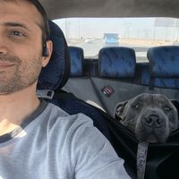 Hanif Khodaverdi's Photo