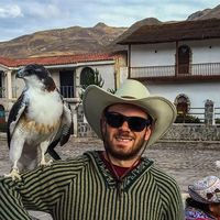 Macauley Mathieu-Busher的照片