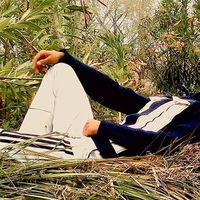 Reza Shariyari的照片