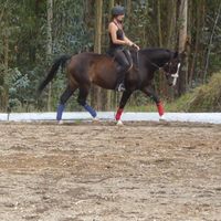 Marina Bengtsson's Photo