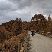 Fotos von Maja Böhm