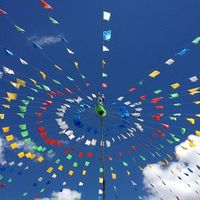 Jason Winkle's Photo