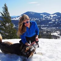 Fotos von Emily Kogan-Young