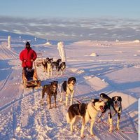 Fotos de Chiara Reichert