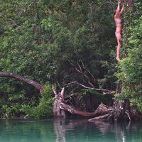 Stacey Pare的照片