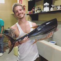 João Negrelli's Photo