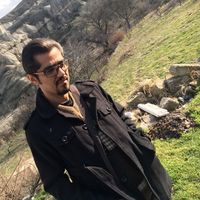 Omid Saeedi的照片