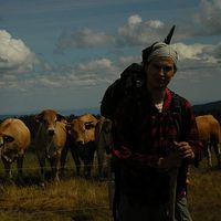 Brandon Barter的照片