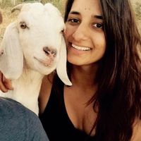 Le foto di Myriam Antonutti