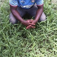 Oumar Diatta's Photo