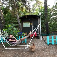 Caliskan Mustafa的照片