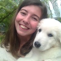 Liz Horvath的照片