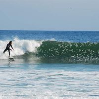 Tewas Johnston's Photo