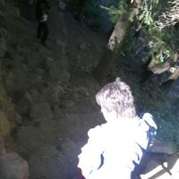 Pulkit  Goyal's Photo