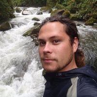 David Amack的照片