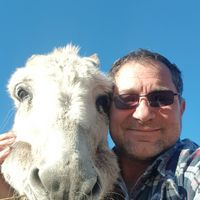 Dan  The Man's Photo