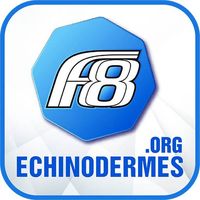 MNHN (Paris)  Echinoderm Page's Photo