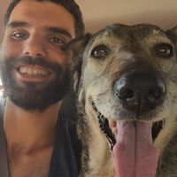 Фотографии пользователя Dor Melech