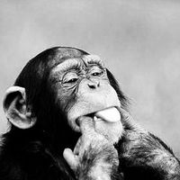 Le foto di Bruno Obiol