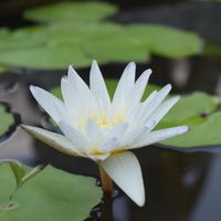 Claudio Gonzalo's Photo