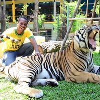 Dave Collymore's Photo