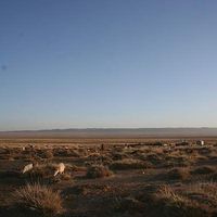 Mongolian Gobi's Photo