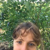 Lena Höhähö的照片