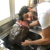 Le foto di Matteo Moretti