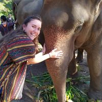 Fotos von Alma Peled