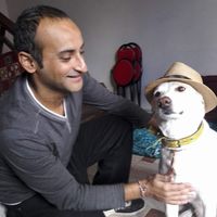 Ramez Ashraf的照片