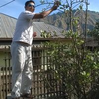 taufiq ma'ruf's Photo