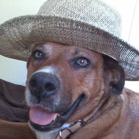 Séverin Vidoni's Photo