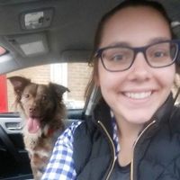 Katrina Holmstrom的照片