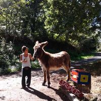 ines Pinheiro alvarez's Photo