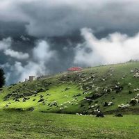 Khoshsirat Mohamad's Photo