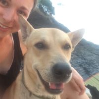 Norina van der Linden's Photo