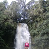 Felix Todos的照片