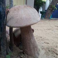 khumesh parashar's Photo