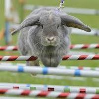 Chischis Lavis's Photo