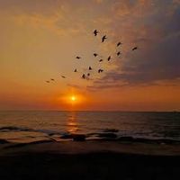 Fotos von Daniel Acostum