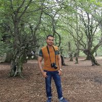 Mahdi Valipour's Photo