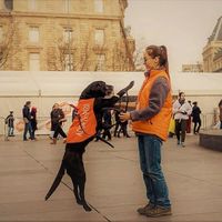 Fotos de Laure Blondel