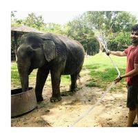 Fotos von Luis Llona