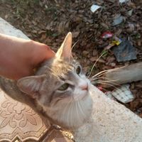 adam redouane的照片