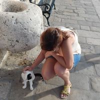 Jucus Simon的照片