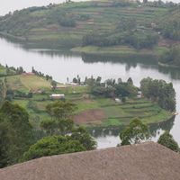 Laban Ahimbisibwe的照片