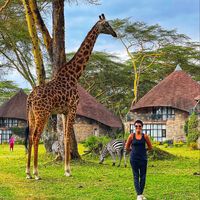 Photos de Farnoosh Riahi