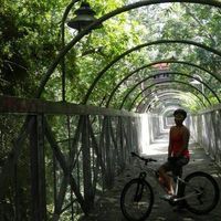 Andrea López Alba's Photo