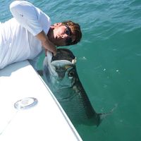 Colin McNamara的照片